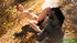 Tattooed red beauty fucking with werewolf in the forest